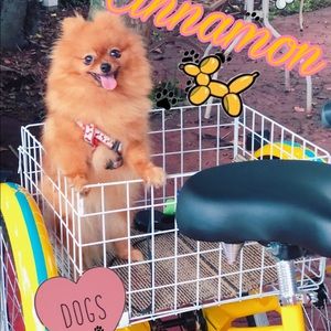 Meet your Posher, Rojon